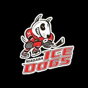 Ice Dogs Logo - New framework agreement between St. Catharines and Ice Dogs