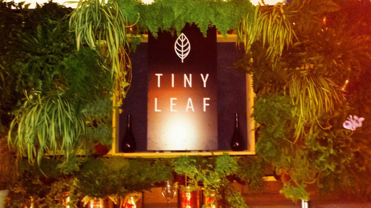 Tiny Orange Leaf Logo - Living wall for Tiny Leaf – Claude Oprea