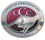 Cheetah Car Logo - Emblems with animals