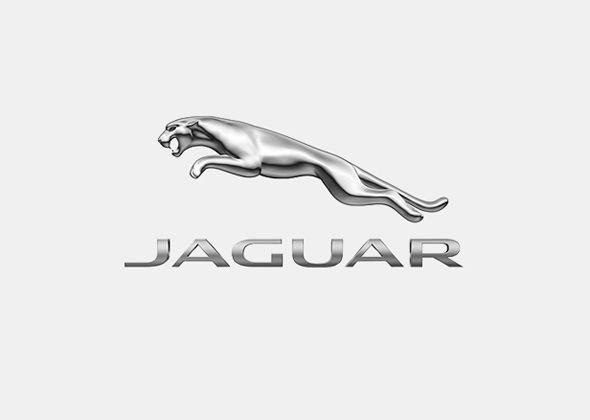 Cheetah Car Logo - Animals That Have Helped Sell Cars