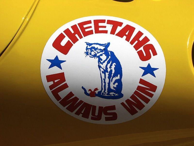 Cheetah Car Logo - The Cheetah Racecar Should Have Been A Big Success - So What ...