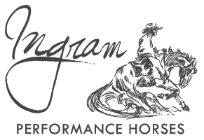 Reining Horse Logo - We Train Reining Champions!