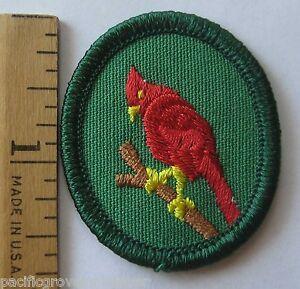 Bird On Red Oval Logo - Retired Oval 1978-2011 Girl Scout CARDINAL TROOP CREST Red Bird ...