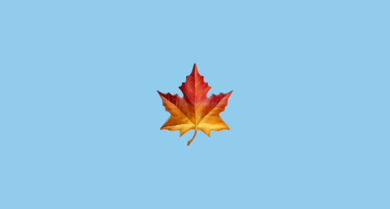 Tiny Orange Leaf Logo - 