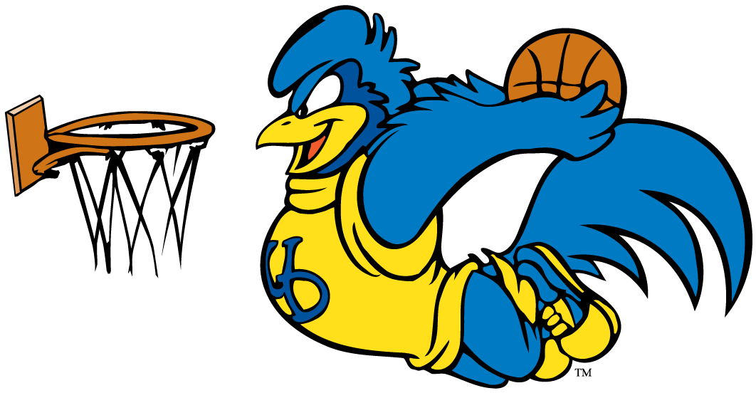 University of Delaware Blue Hens Logo - Delaware Blue Hens 2009-Pres Alternate Logo iron on transfers (heat ...