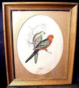 Bird On Red Oval Logo - Vintage J Gould Lithograph Birds 2 Red Framed Oval Mat Print w/Glass ...