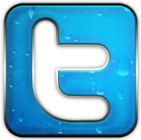 Chrome Twitter Logo - 10 Chrome Twitter Icon Images - Add Twitter People Logo Images ...