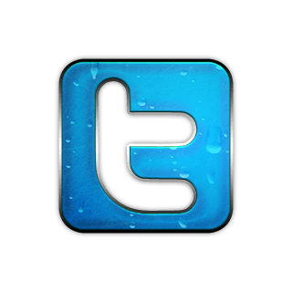 Chrome Twitter Logo - Riverbend Hot Springs: Mineral Springs Resort and Spa on the Rio Grande