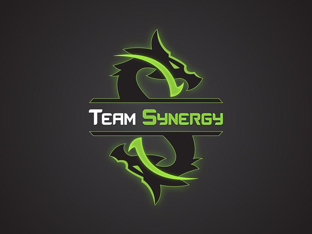 Synergy Clan Logo - Team Synergy Gaming Clan Logo - Northfield Web Design Firm