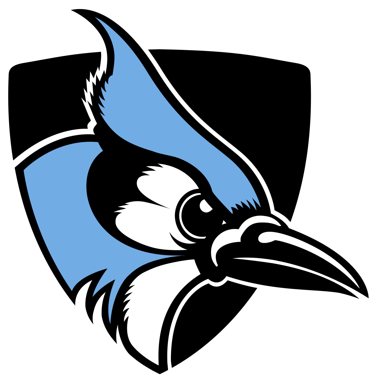 Blue Jay Sports Logo - Johns Hopkins Blue Jays