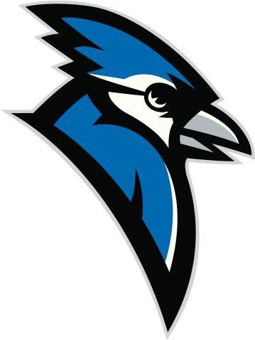 Blue jay sports logo Royalty Free Vector Image