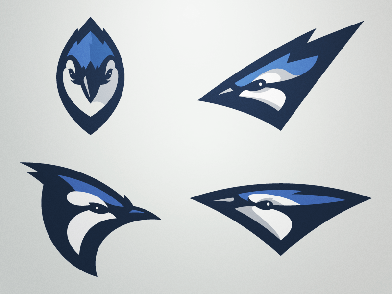 Blue Jay Sports Logo - Bluejays by Fraser Davidson | Dribbble | Dribbble