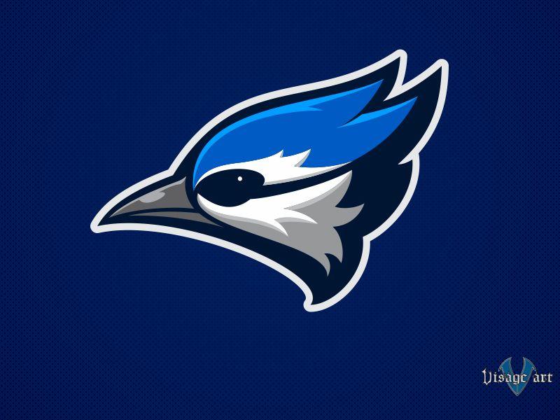 Blue Jay Sports Logo - Blue Jays Concept 03 by Jonathan Sparks | Dribbble | Dribbble