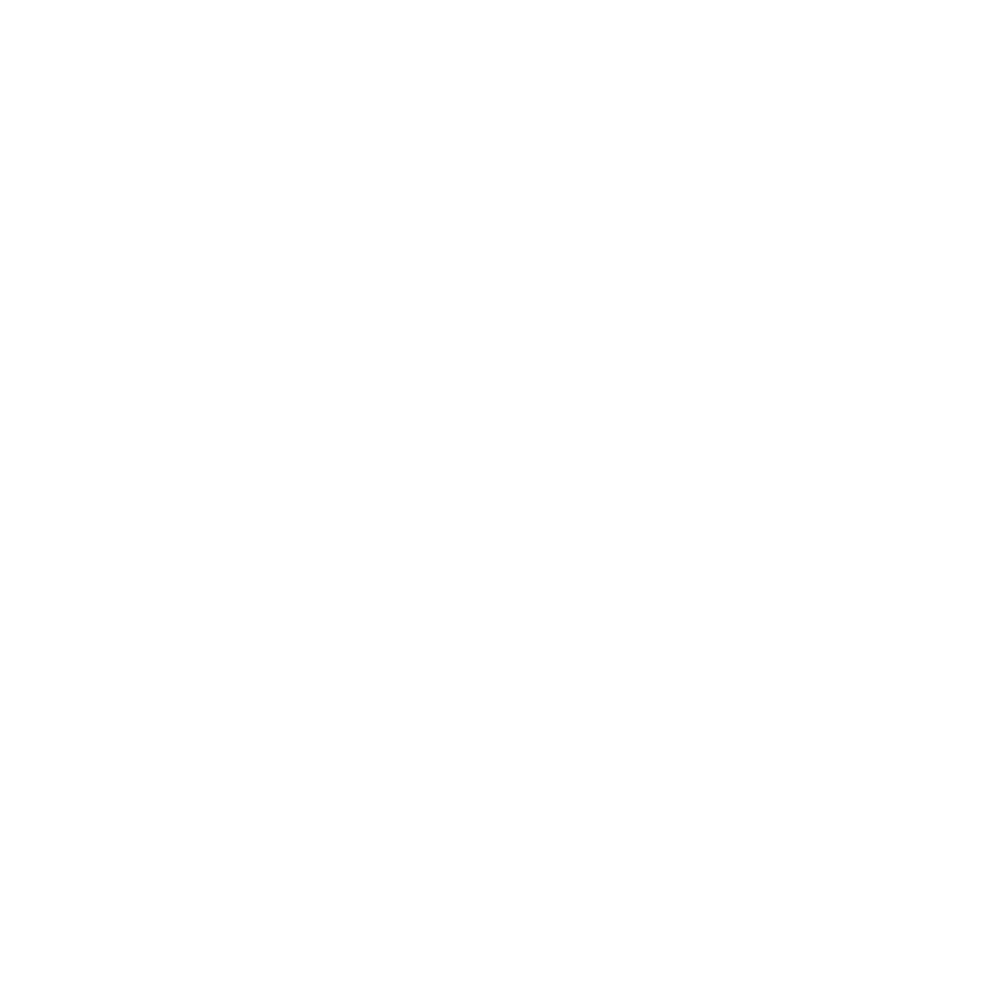 Black and White E Logo - Black Paisley Records