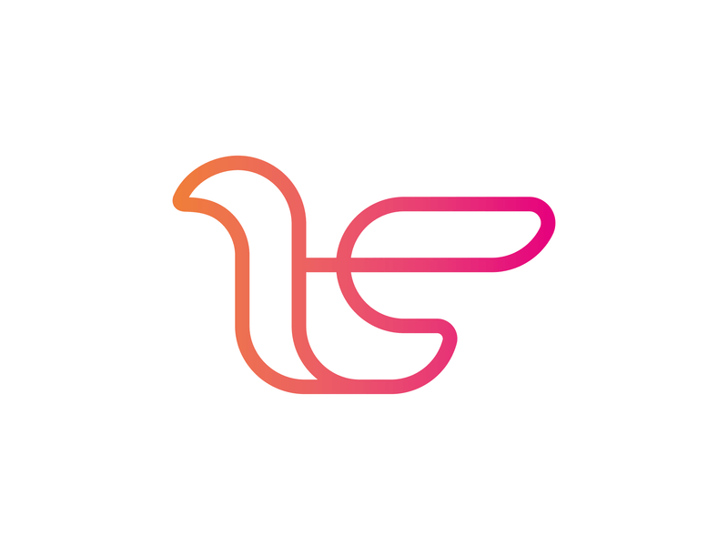 Orange Duck Logo - duck logo