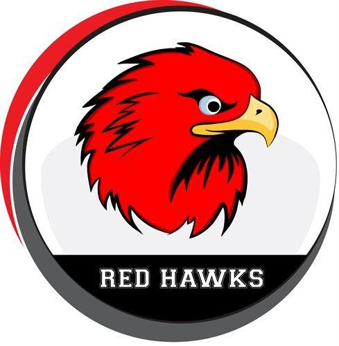 Red Hawk School Logo - Cedar Springs Public Schools Education Report (AER)