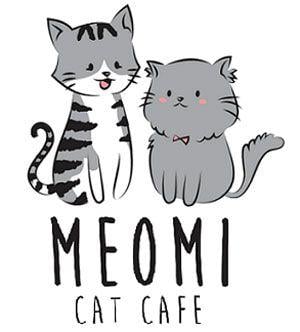 Facebook Cat Logo - Which of the 3 cat cafes in S'pore is the best?