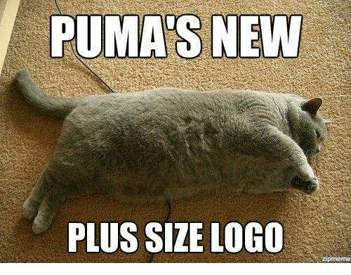 Facebook Cat Logo - PUMA'S NEW PLUS SIZE LOGO Zipmeme | Puma Meme on ME.ME