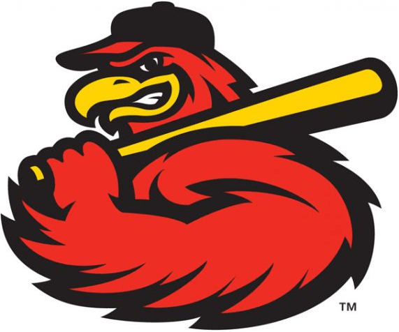 Baseball Bird Sports Logo - Rochester Red Wings Alternate Logo League IL