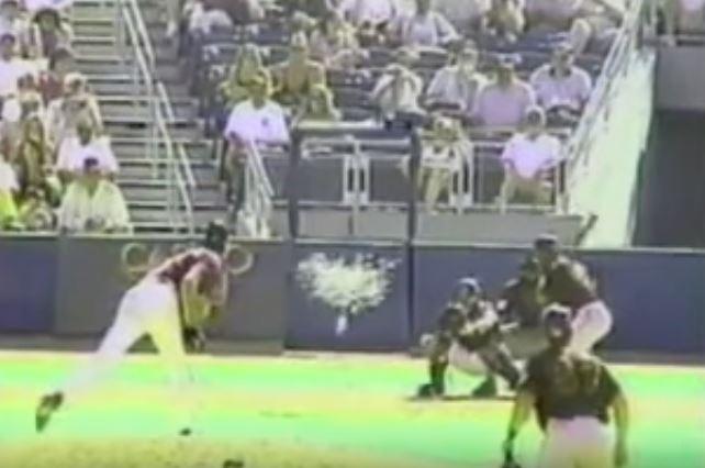 Baseball Bird Sports Logo - Bird Experts Reflect on Randy Johnson Hitting a Bird With a Pitch