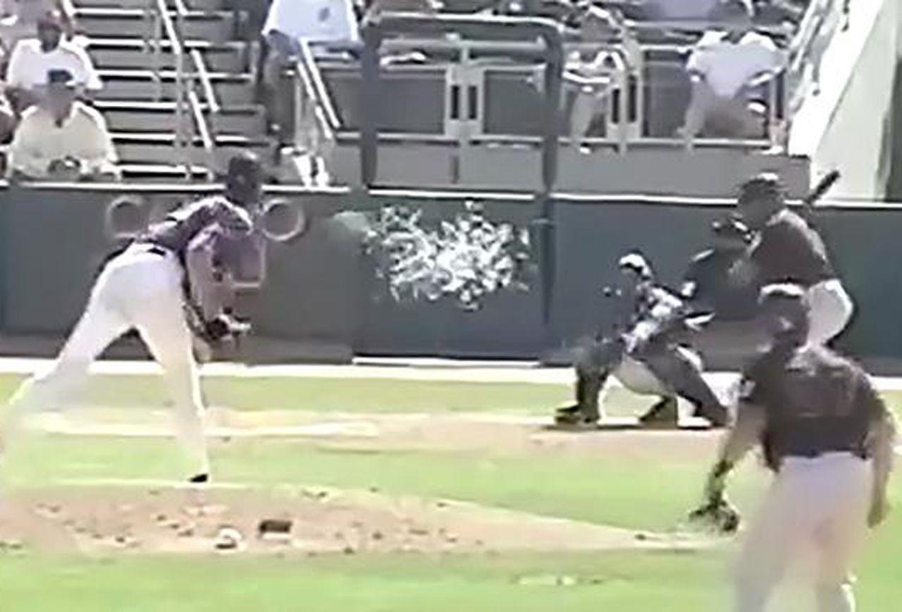 Baseball Bird Sports Logo - Years Ago: Randy Johnson Makes Bird Explode In Spring Training Game