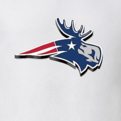 Moose Football Logo - Moose New England Patriots Logo Parody 3D Quinn Ojinnaka Pats