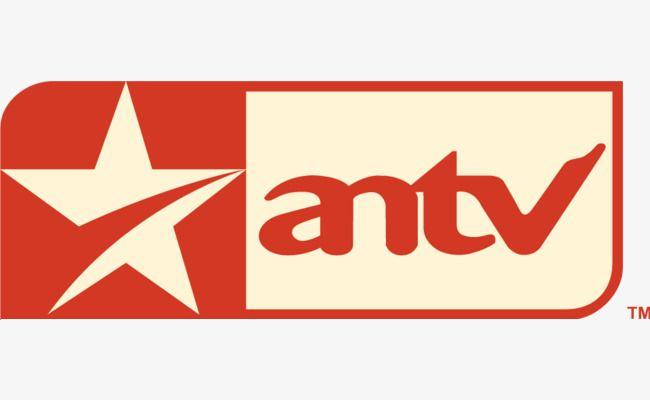 Pink Star Logo - Antv Vector Logo Design, Logo Vector, Red Flag, Pink Star PNG