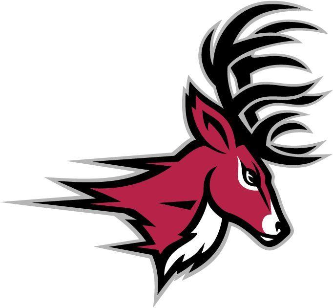 Moose Football Logo - Deer Head Logo