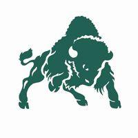 Bethany Bison Logo - Bethany College Bison, NCAA Division III Presidents' Athletic