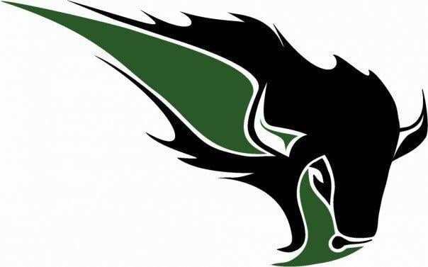 Bethany Bison Logo - York Sweeps OBU Bison - News On 6