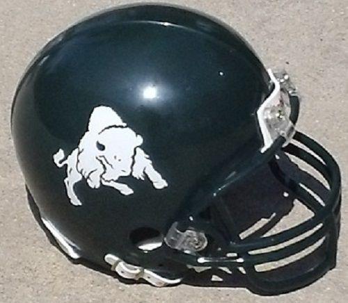 Bethany Bison Logo - BETHANY COLLEGE BISON MINI FOOTBALL HELMET