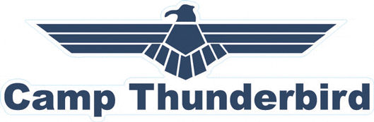 Thunderbird Logo - Apply a camp decal to your Thunderbird trunk