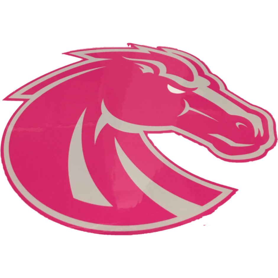 Pink Swirl Logo - Boise State Bronco Pink Swirl White Eye Decal (8X8)
