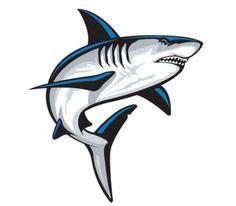 Sharks Sports Logo - 46 Best Logo Sharks. images | Sports logos, Shark logo, Animal logo