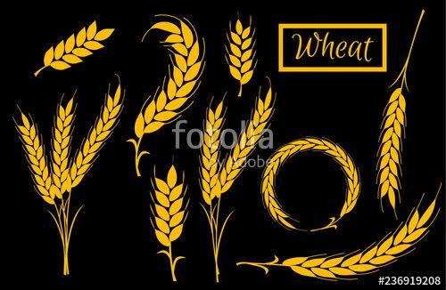 Wheat Black and Gold Logo - Set Wheat Ears gold Icon and Logo. For Identity Style of Natural