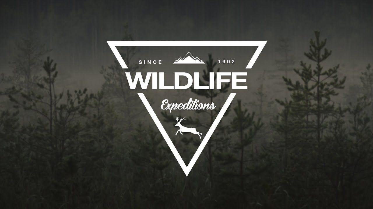 Gray Triangle Logo - How To Design A Wildlife Triangle Logo In Photoshop - YouTube