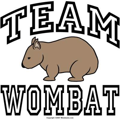 Wombat Logo - Wombat Mascots and Logos | ferrebeekeeper