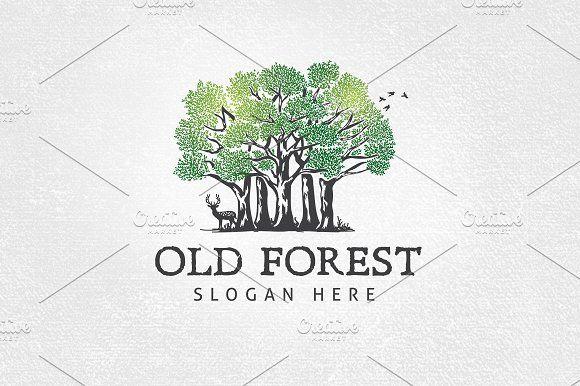 Forest Logo - Old Forest Logo Template ~ Logo Templates ~ Creative Market