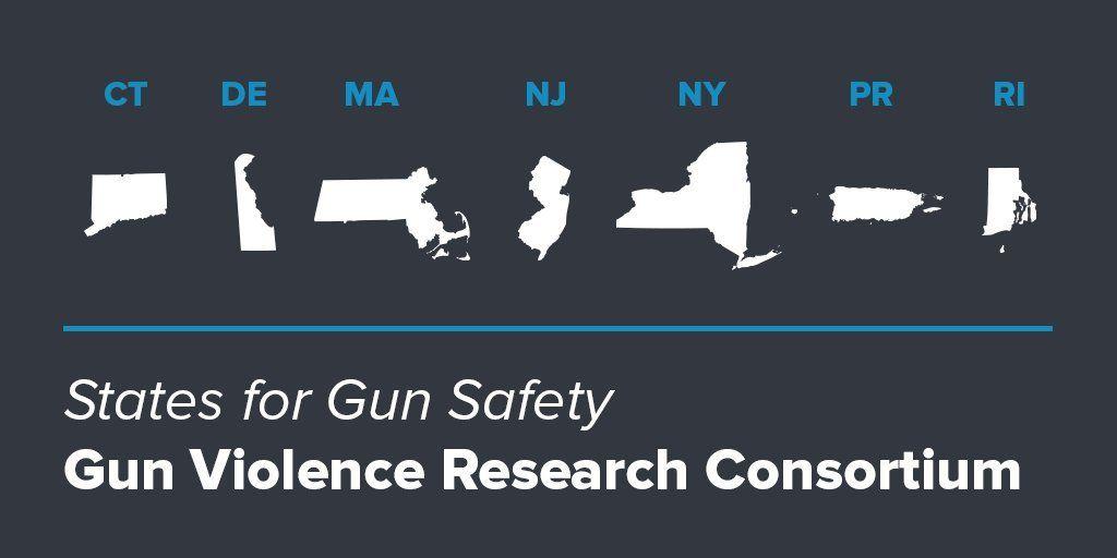 Gun Answer Logo - Is State Level Gun Violence Research the Answer to Our Problems ...