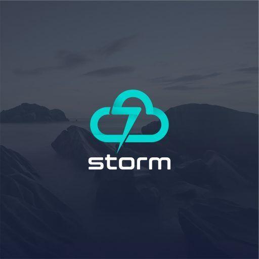 Storm Logo - Storm Group. Cropped Storm