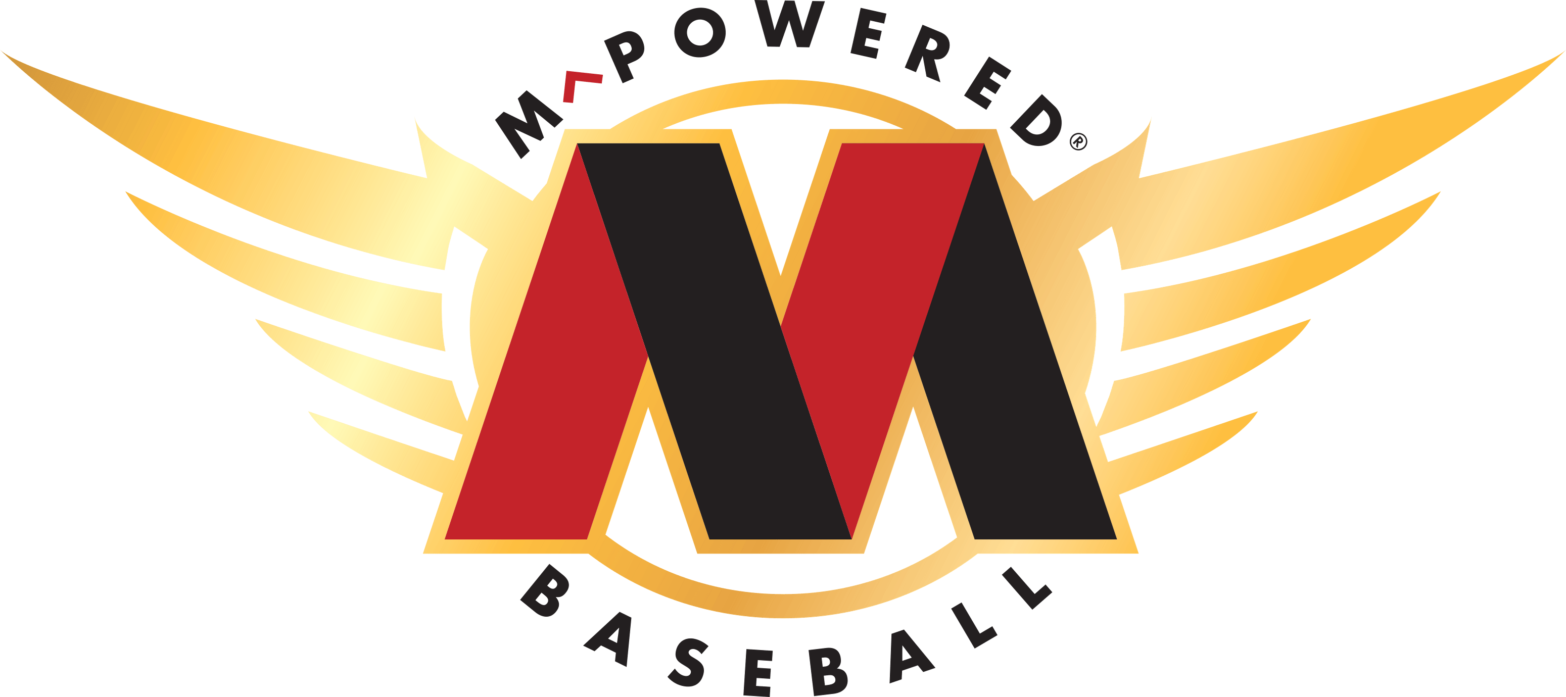 Baseball Bats with Bat Logo - M^Powered Ultra Lite Youth Maple Wood Baseball Bat. Baseball