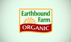Red Food Brand Logo - Top 10 Organic Food Brand Logos | SpellBrand®