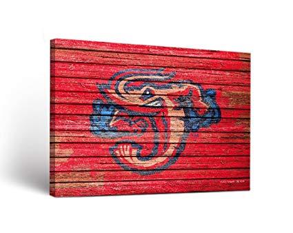 Jumbo Shrimp Sport Logo - Amazon.com : Victory Tailgate Jacksonville Jumbo Shrimp MiLB Canvas ...