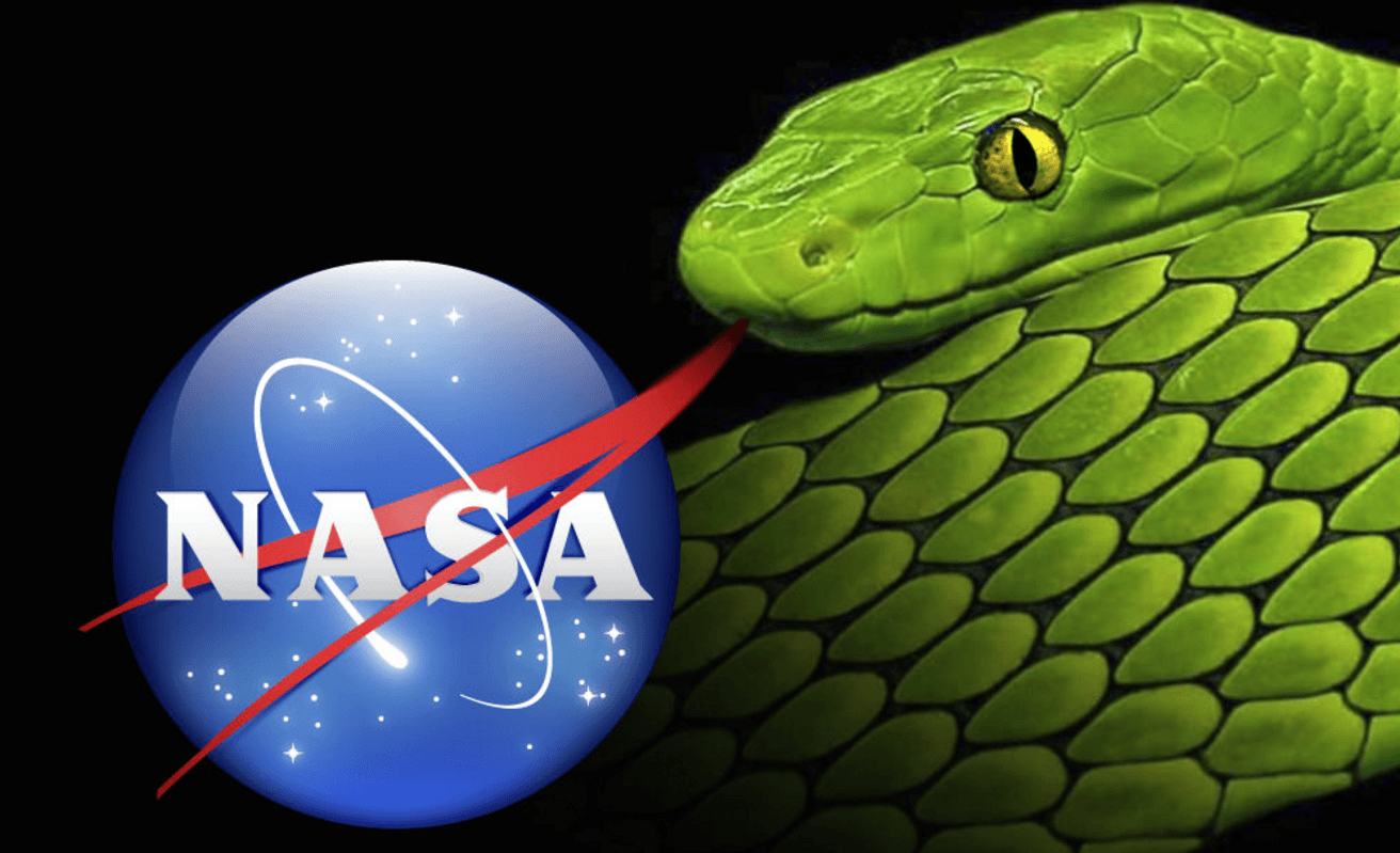 Funny NASA Logo - nasa logo - meatball in space - Space Sector Marketing