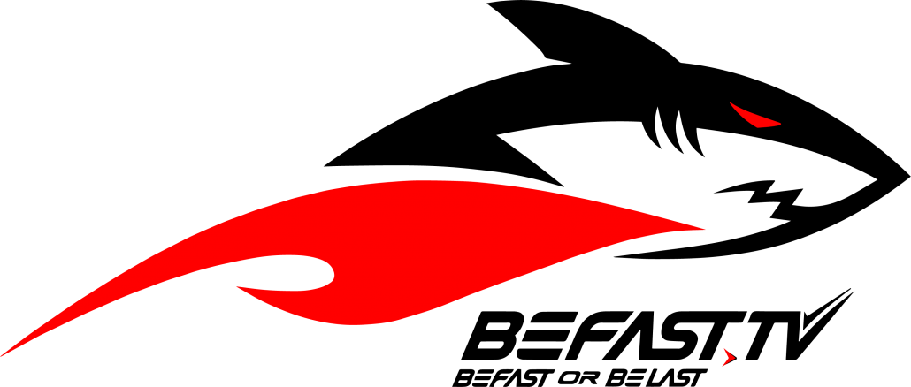 Black Shark Logo - BeFast Black Shark Logo · The Women Entrepreneurs Network