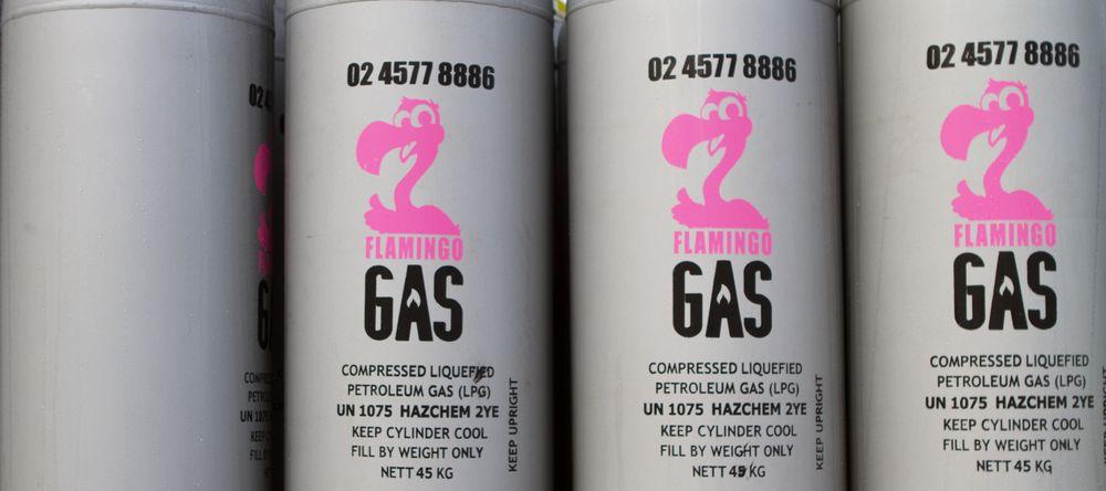 Pink and Blue Mountains Brand Logo - Flamingo Gas. LPG Gas for the Lower Blue Mountains