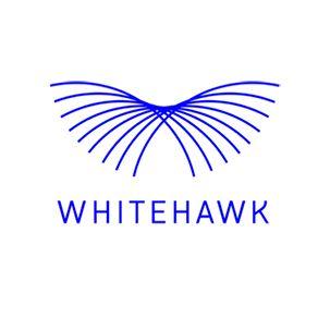 White Hawk Logo - Cybersecurity Simplified | WhiteHawk