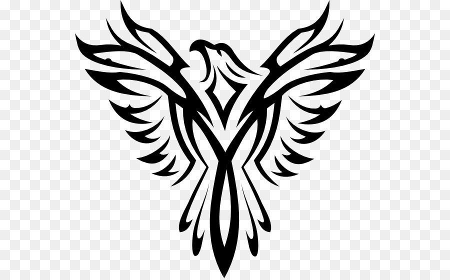 White Hawk Logo - Bald Eagle Drawing Black-and-white hawk-eagle Clip art - eagle png ...