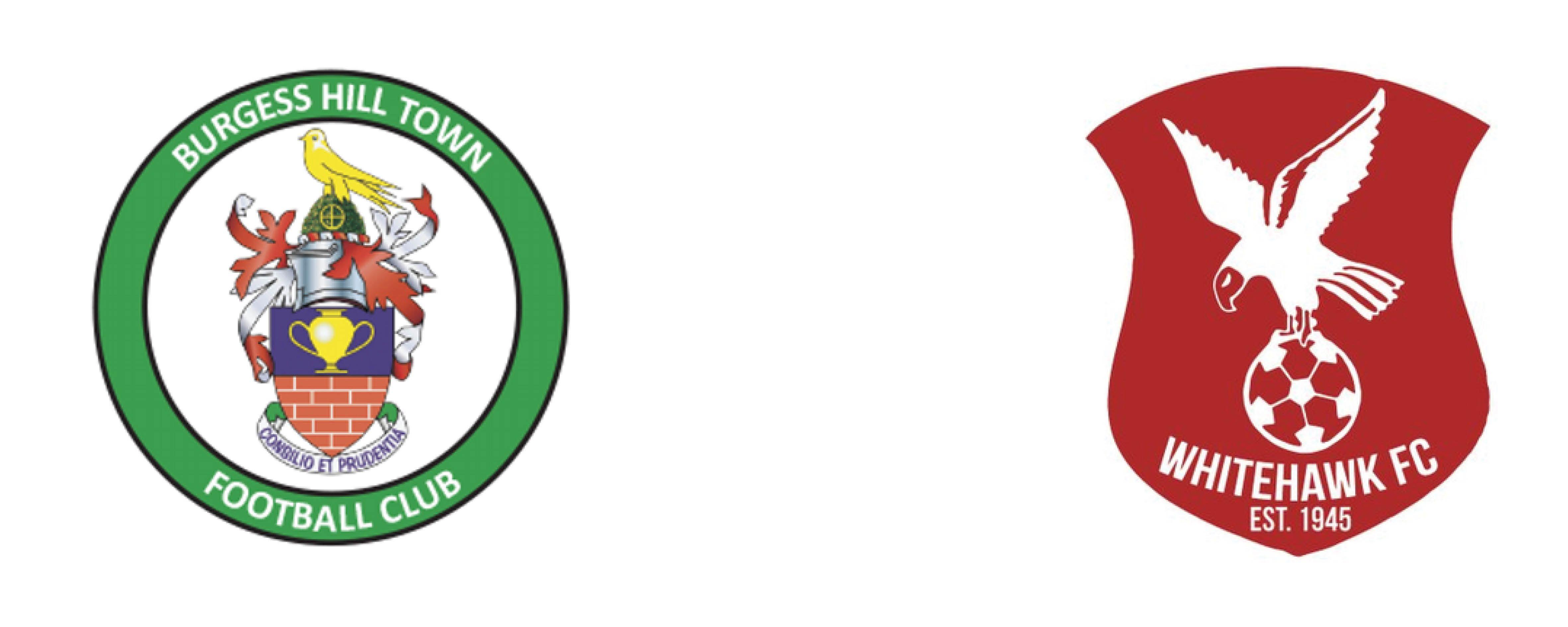White Hawk Logo - Homepage - Aldridge Football Academy