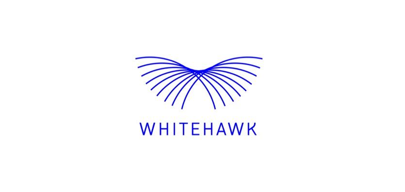 White Hawk Logo - WhiteHawk Releases CyberPath Decision Engine 2.0